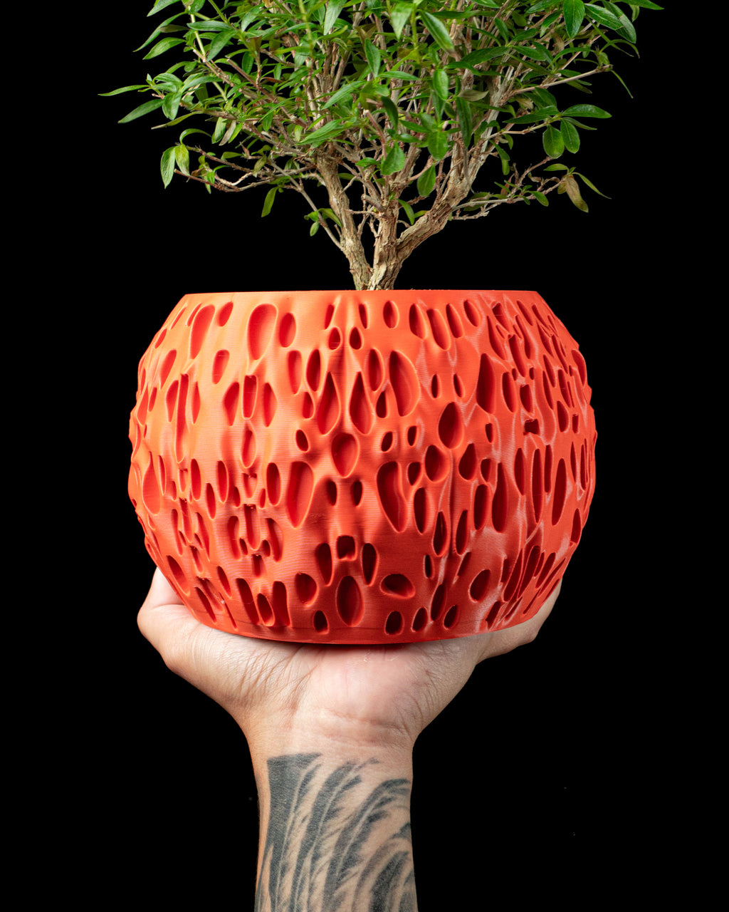 Spotted Planter Pot