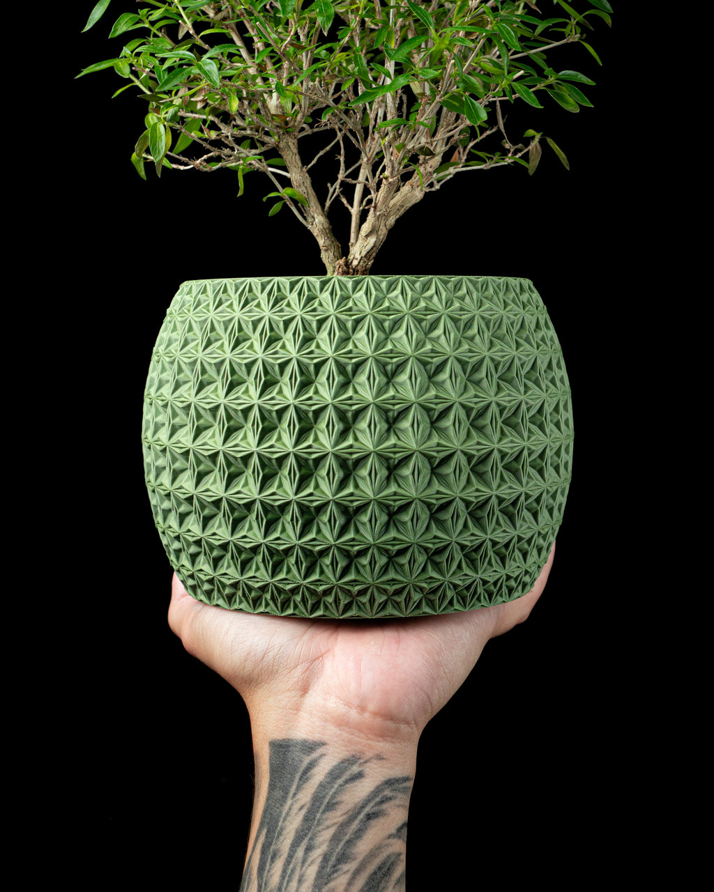 Burst Planter Pot