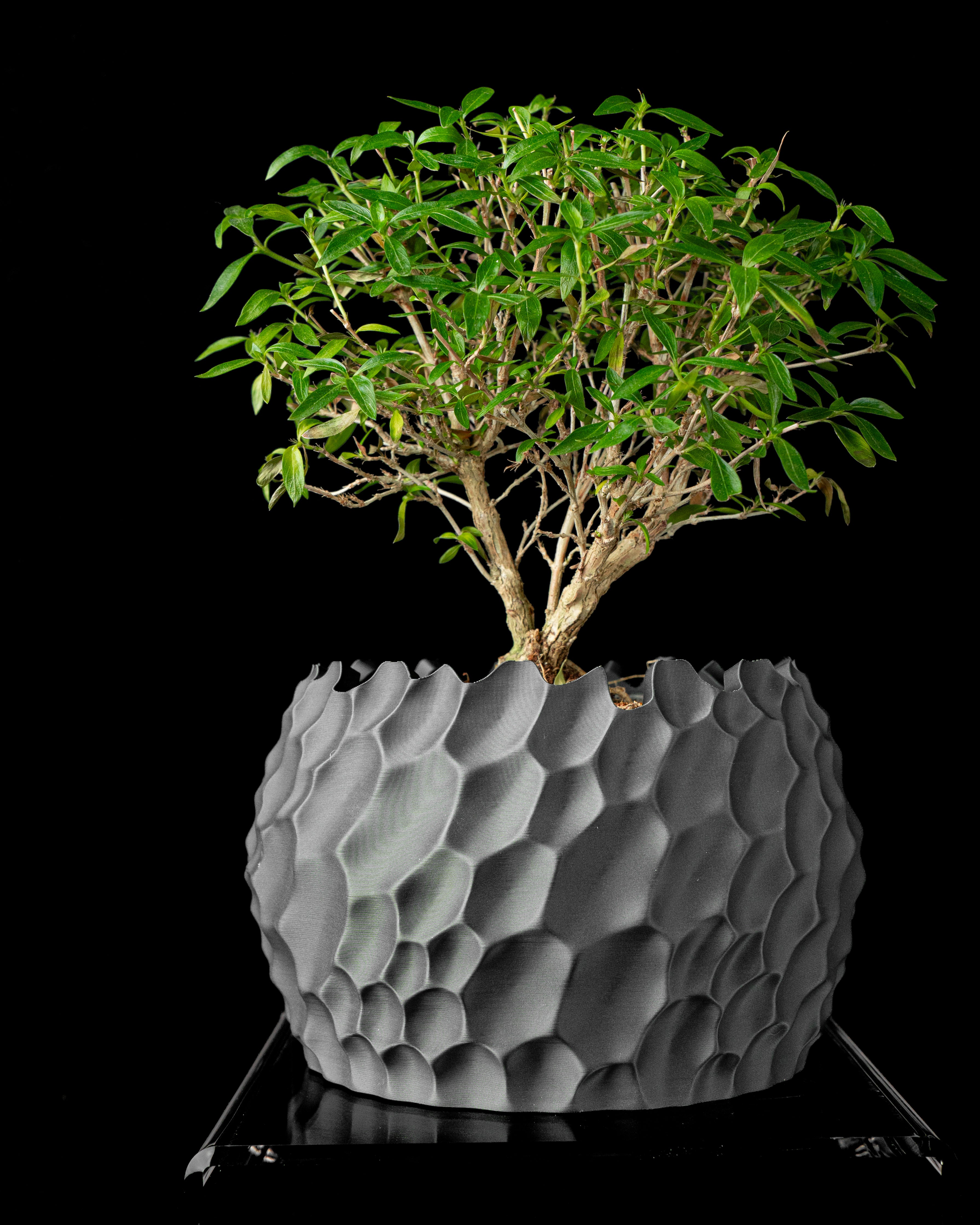 Dune Planter Pot