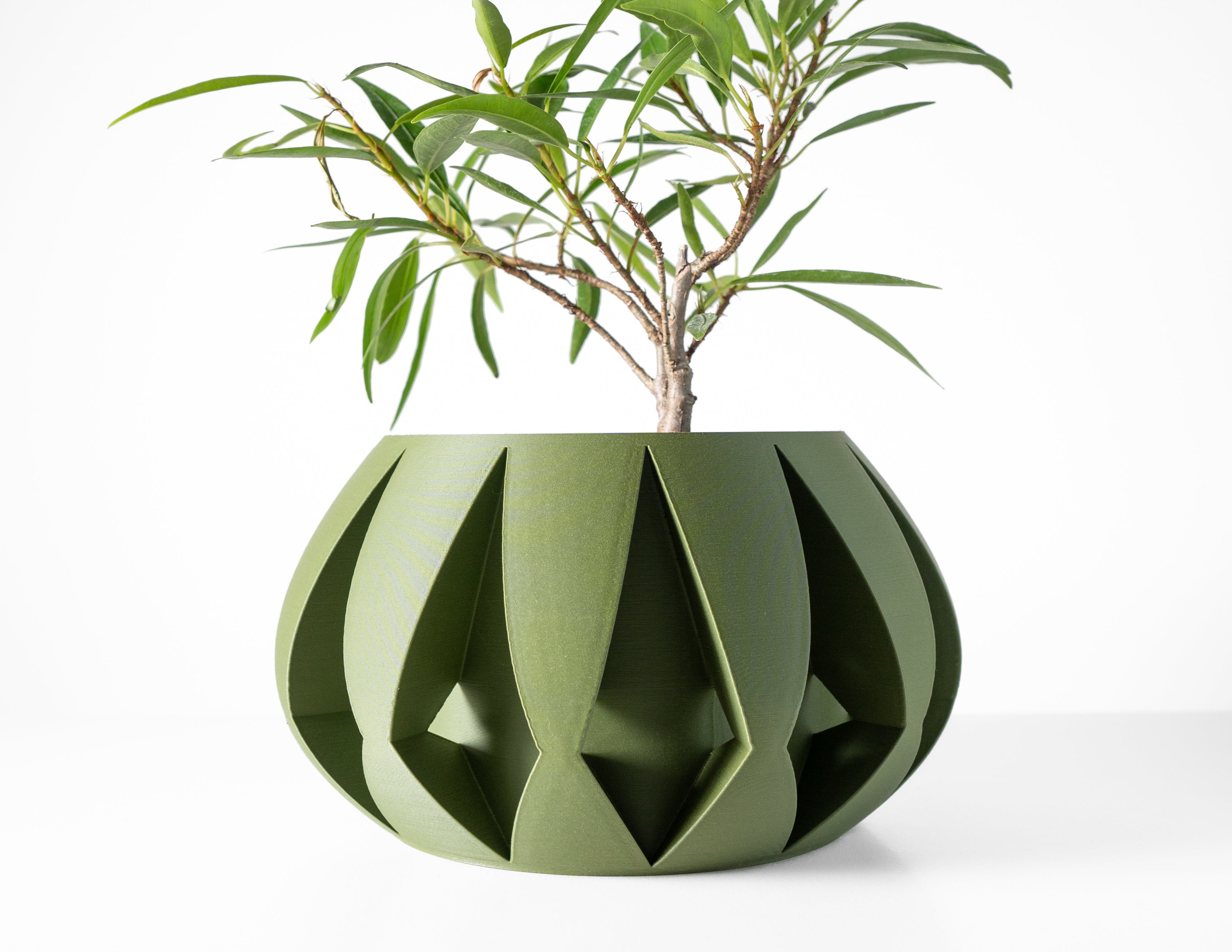Moki Planter