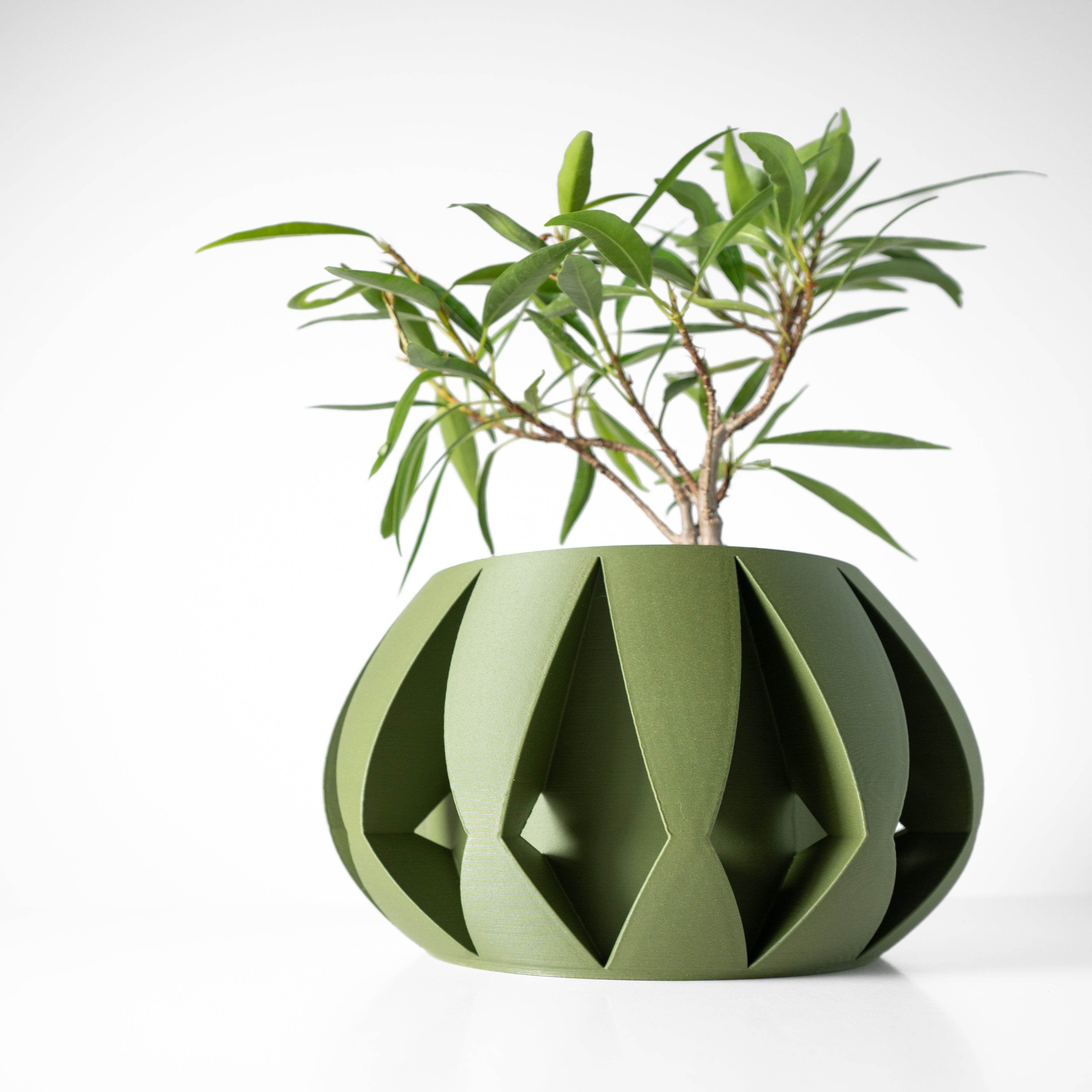 Moki Planter