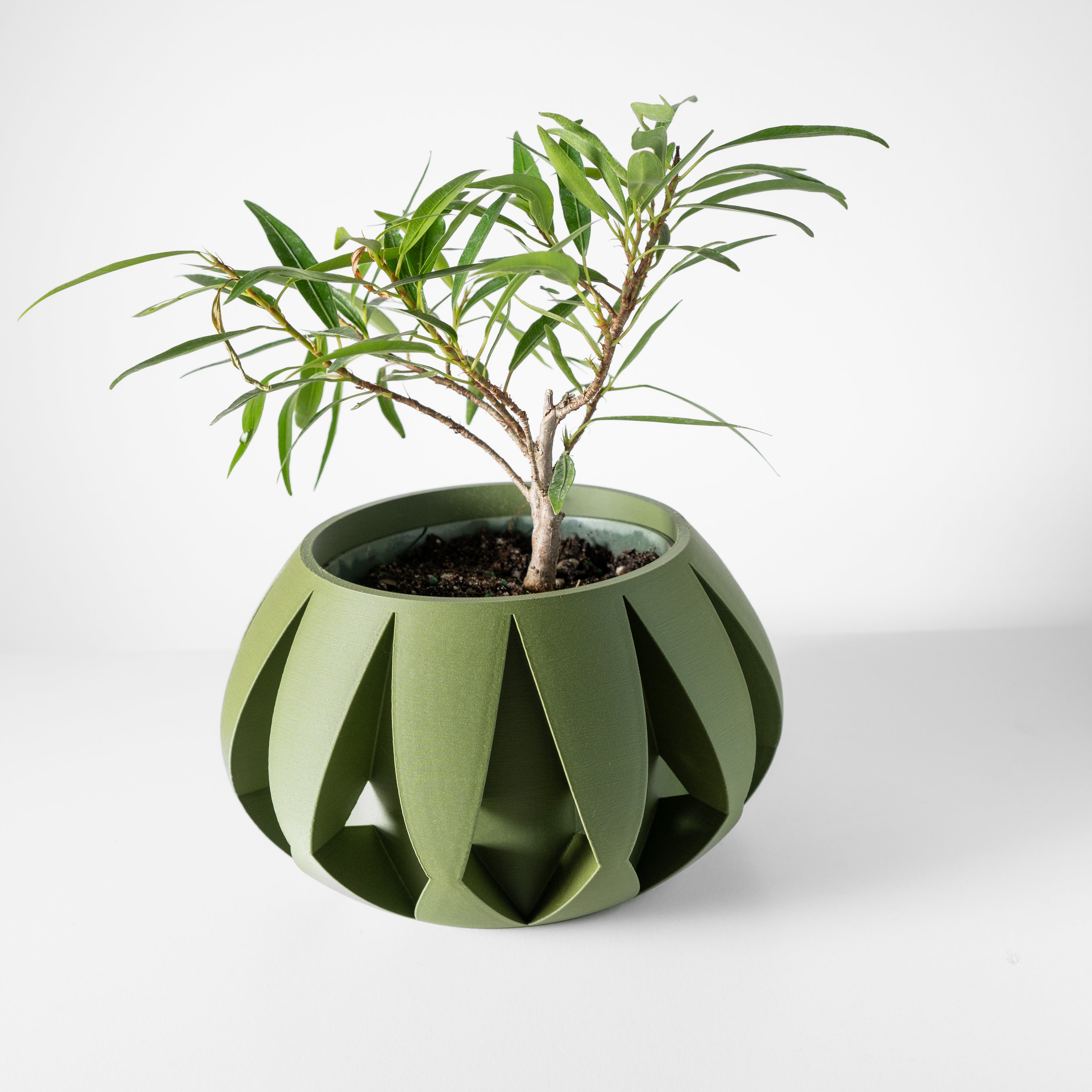 Moki Planter