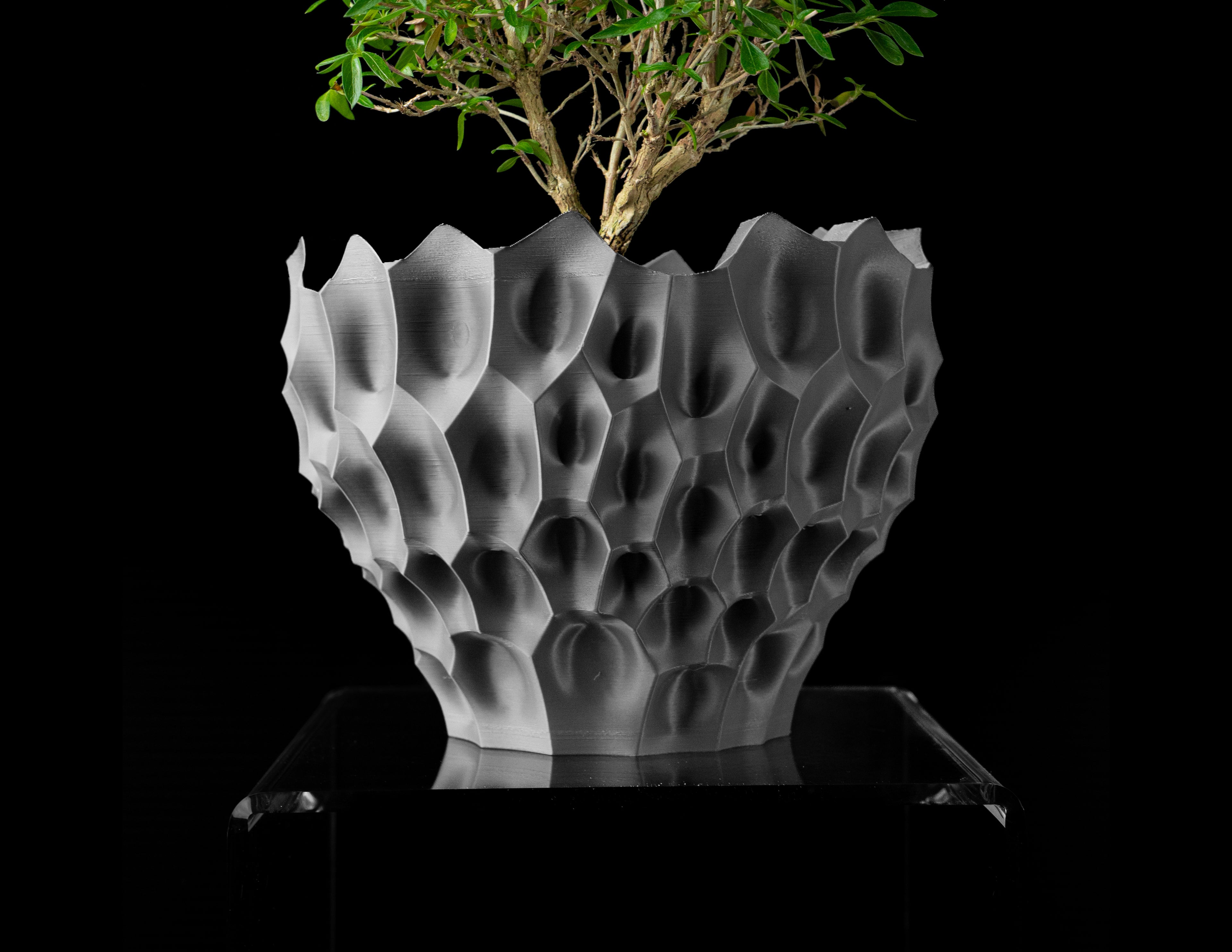 Bane Planter Pot