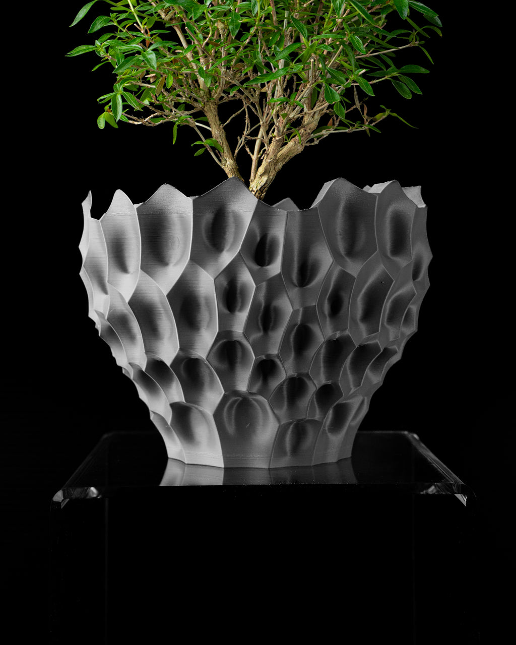 Bane Planter Pot