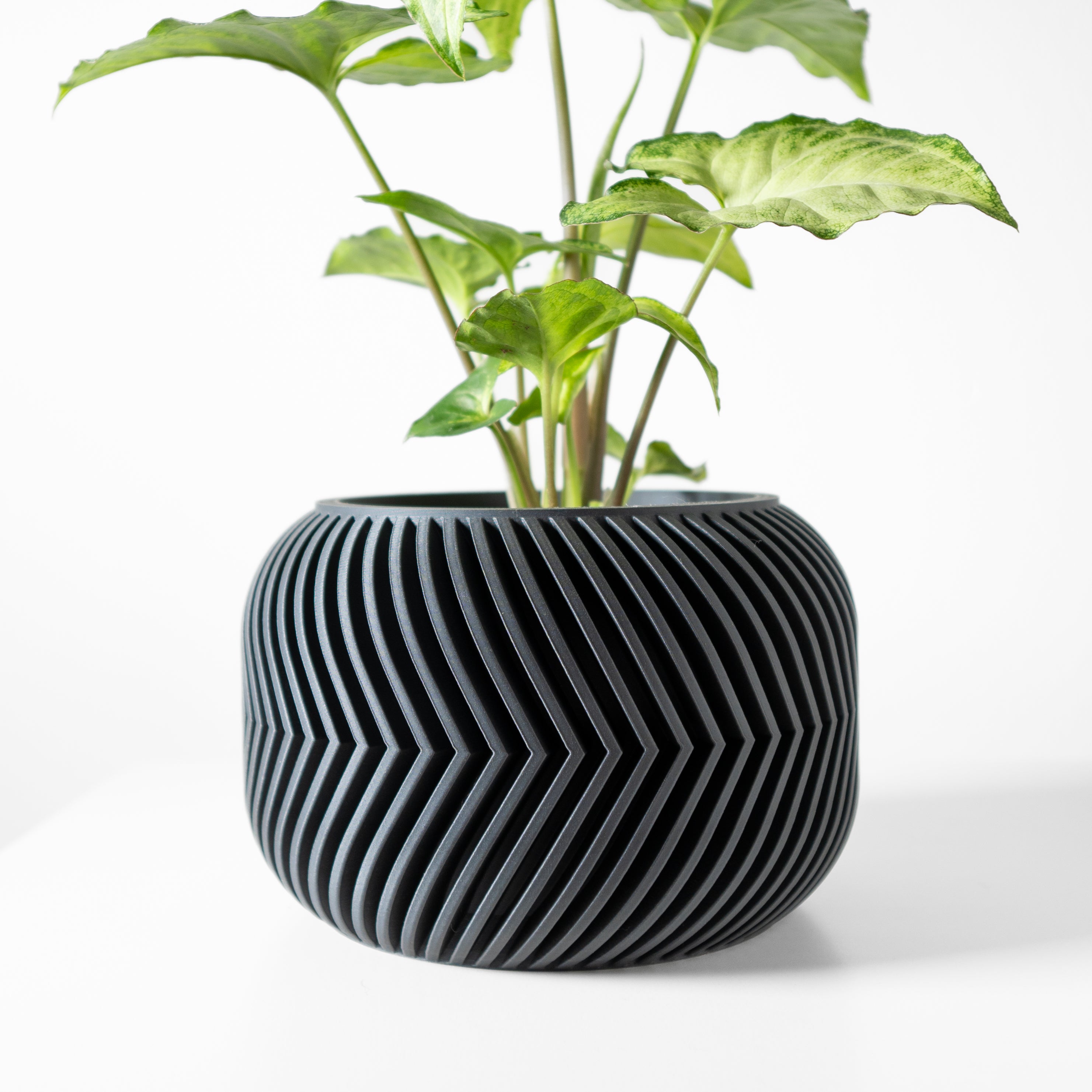Ervon Planter
