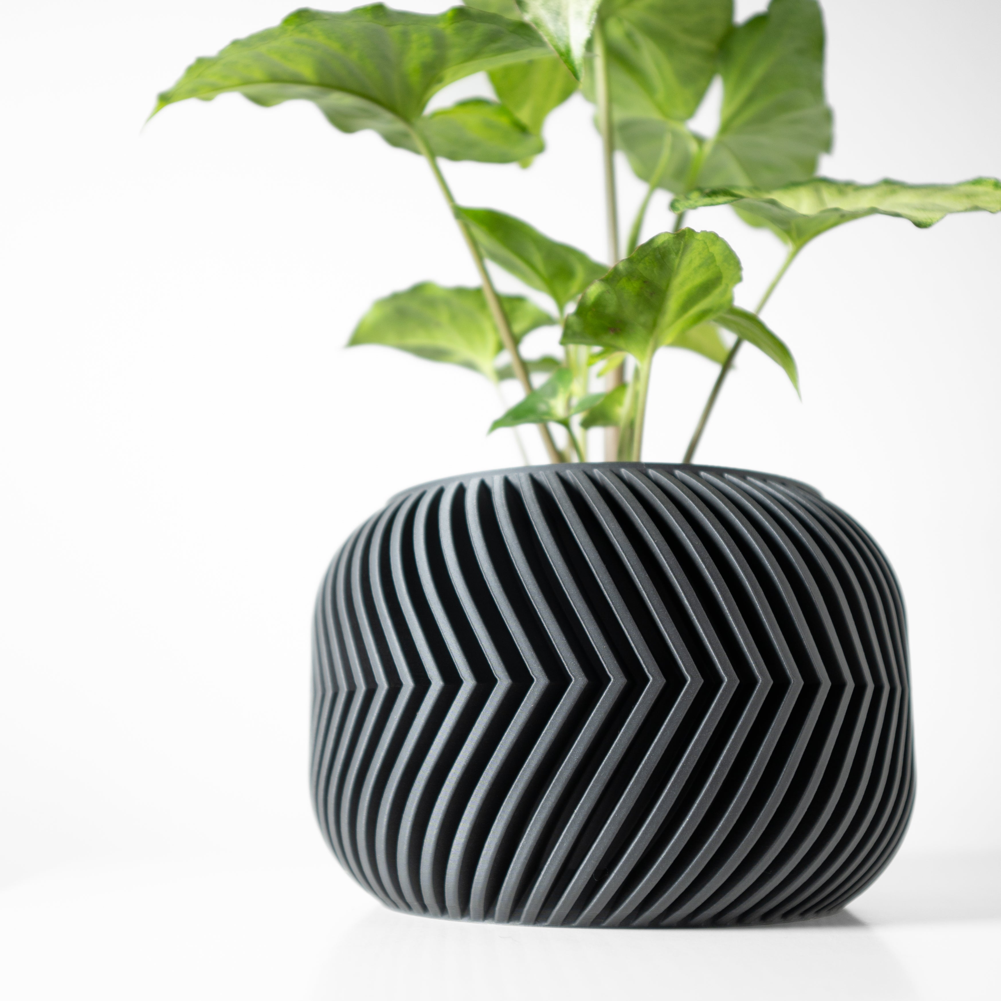 Ervon Planter