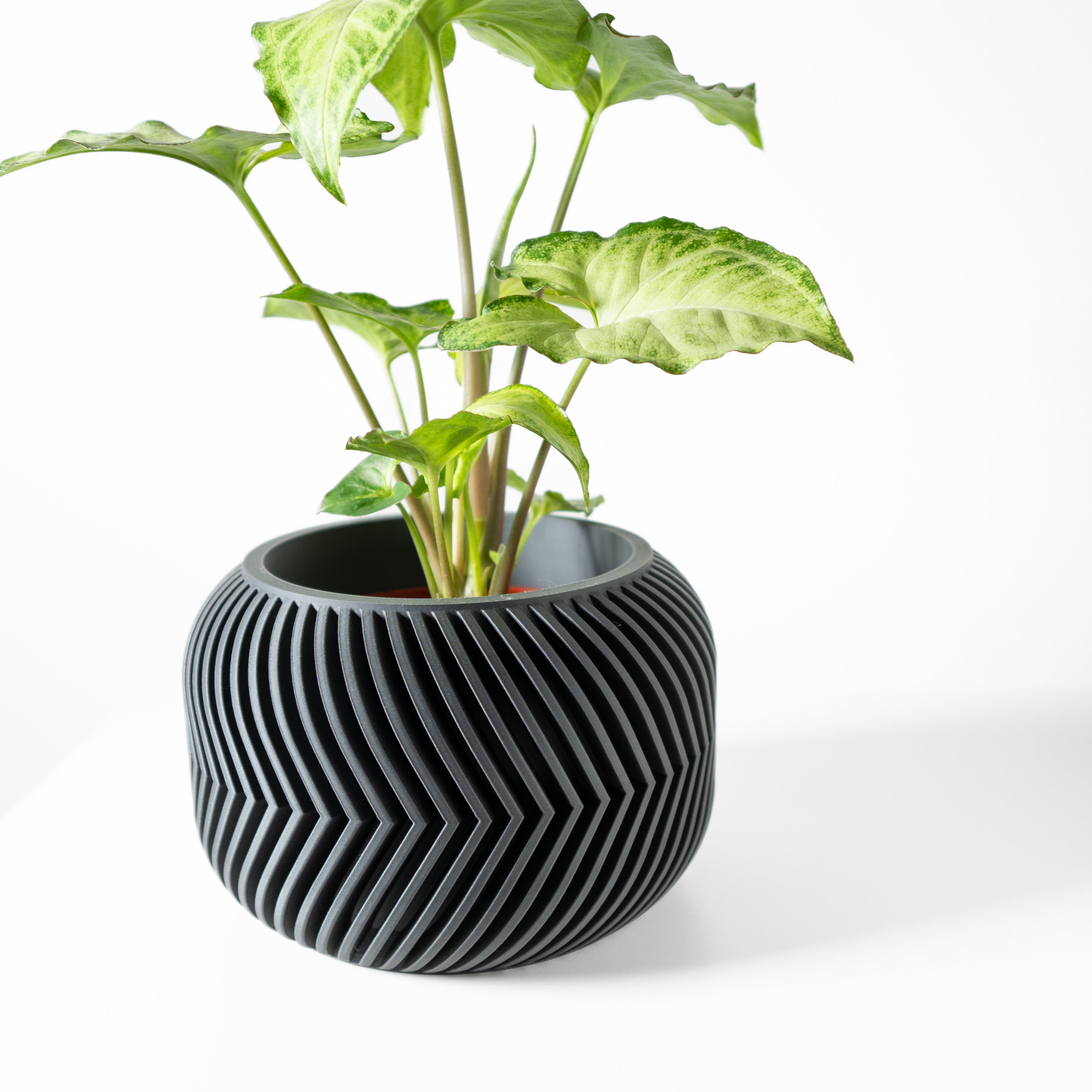 Ervon Planter