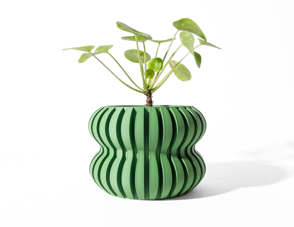 Daso Planter Pot
