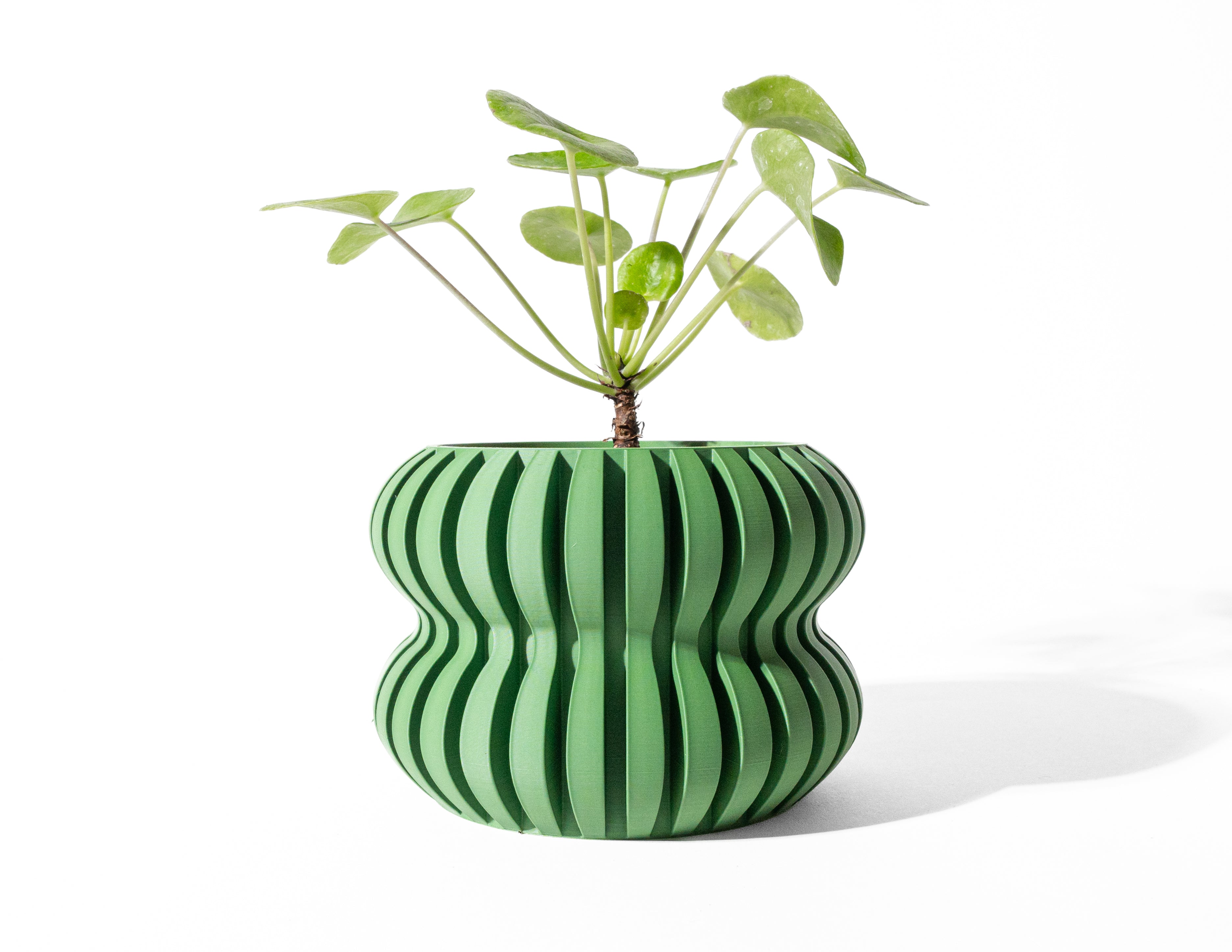 Daso Planter Pot