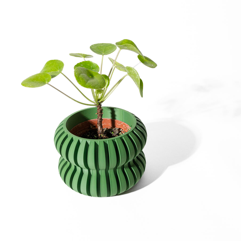 Daso Planter Pot