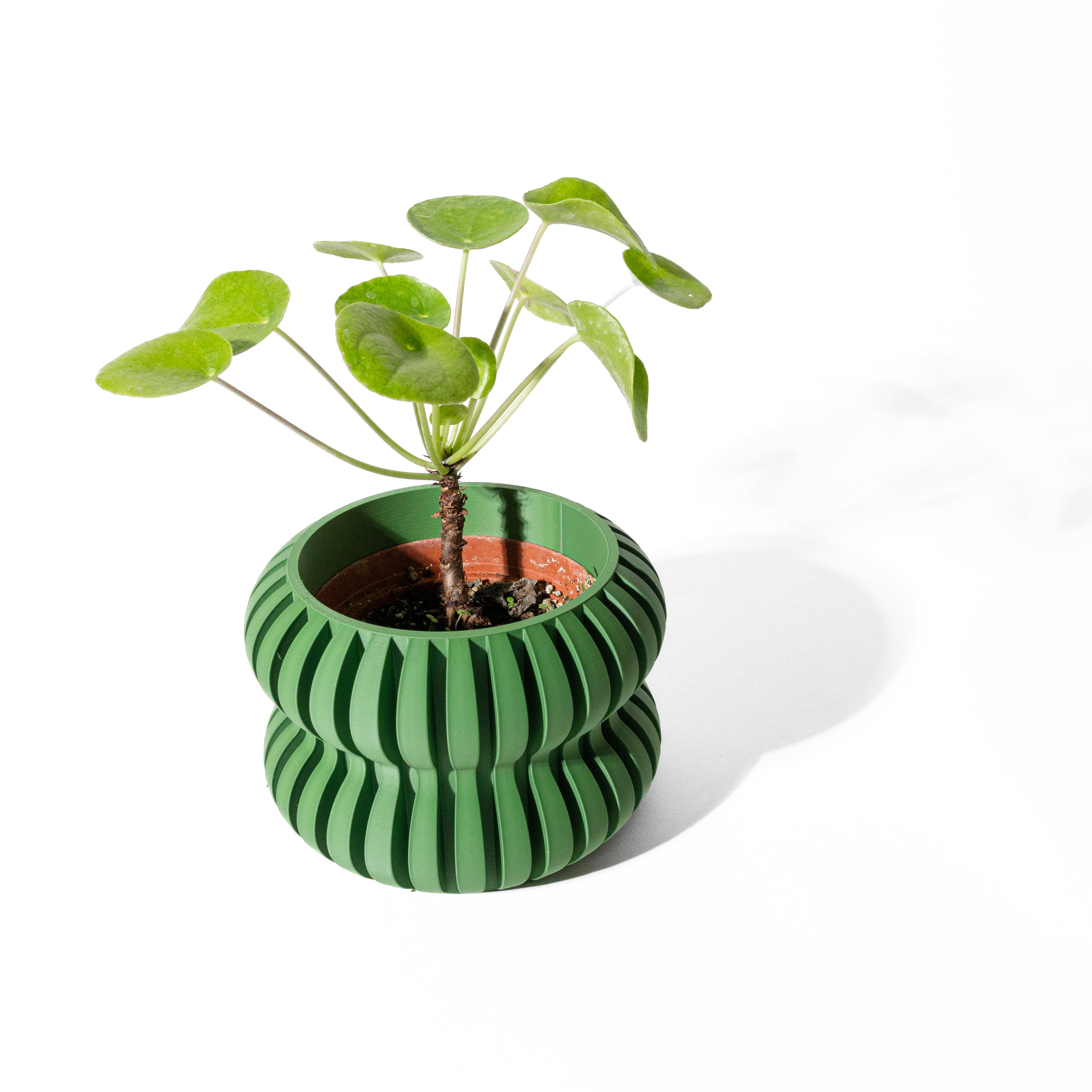 Daso Planter Pot