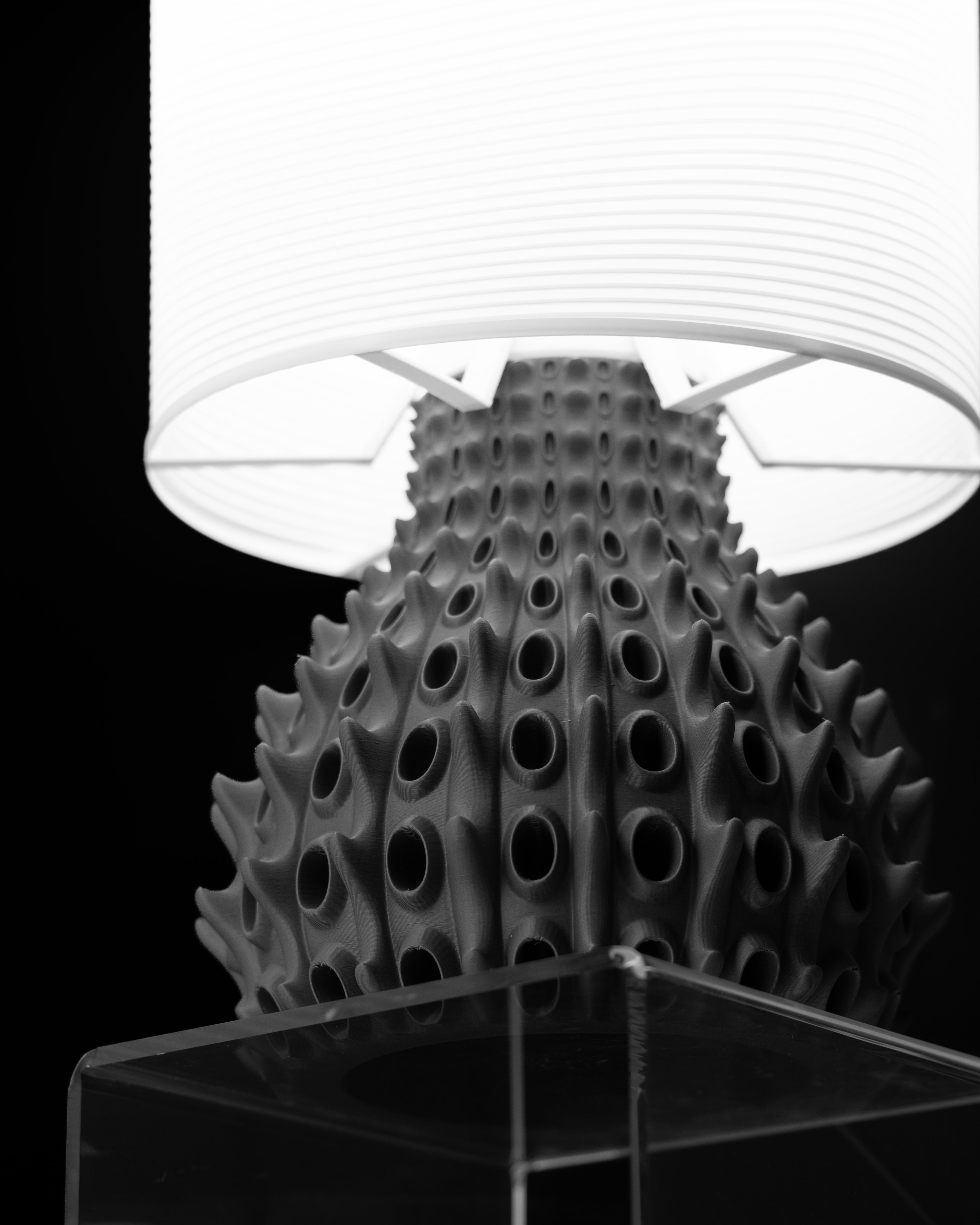 The Barnacle Table Lamp