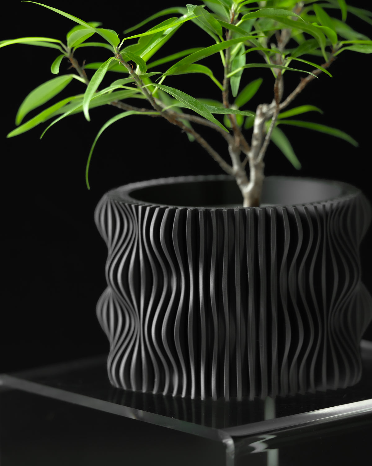 Muxel Planter