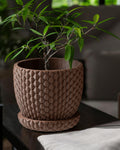 Dragonscale Planter Pot