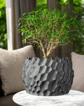 Dune Planter Pot