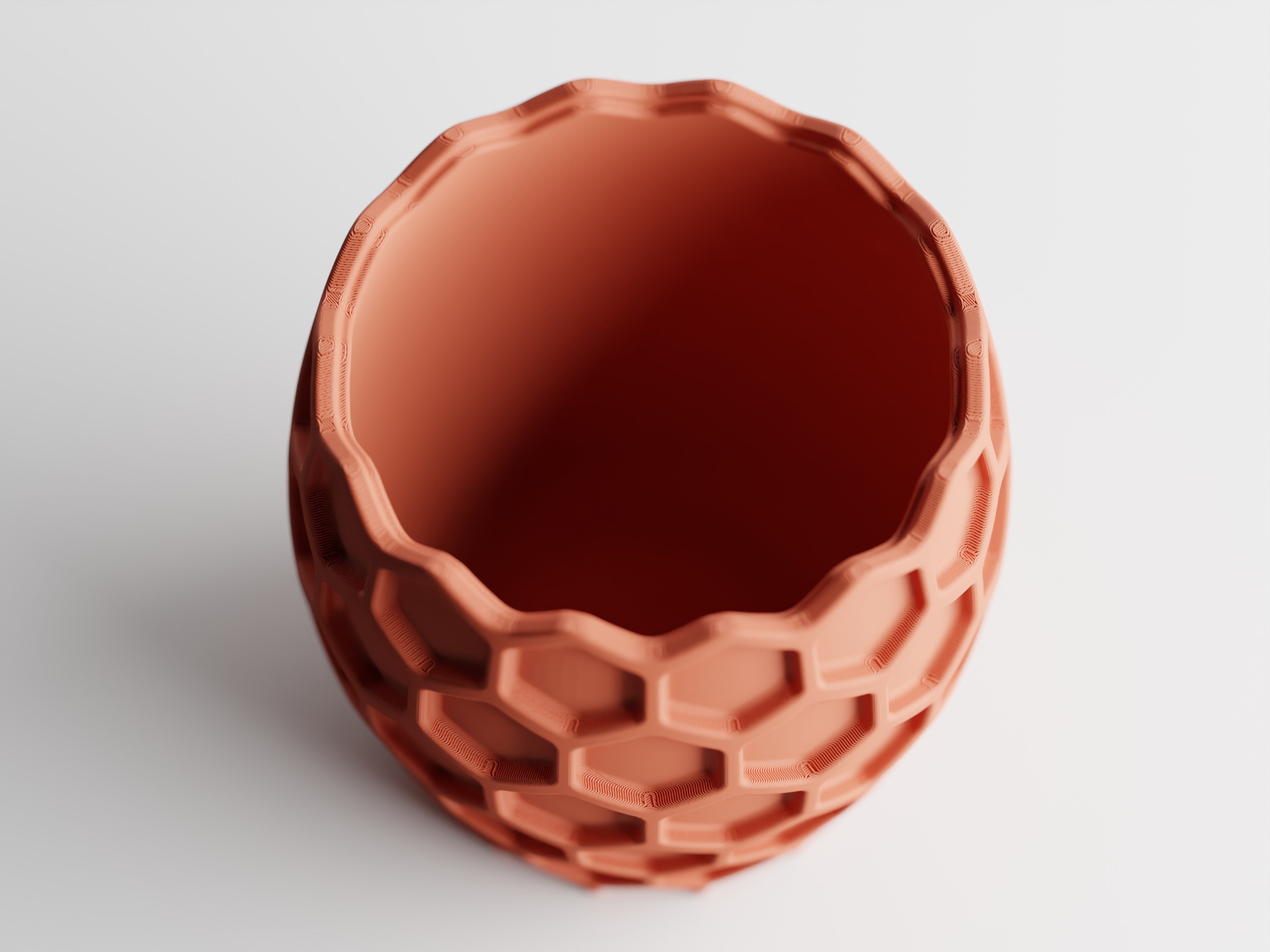 Beehavia – Buzzing with style. Rooted in nature.