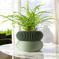 Elomi Planter