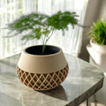 Elson Planter