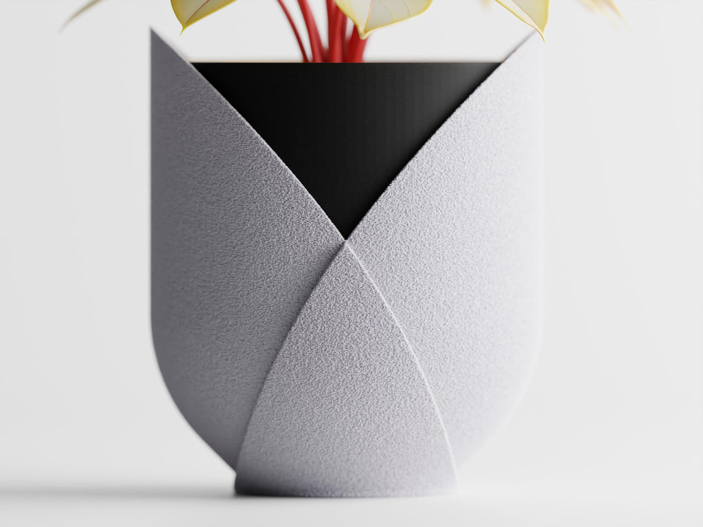 Elyndra – Wrapped in form. Defined by color.