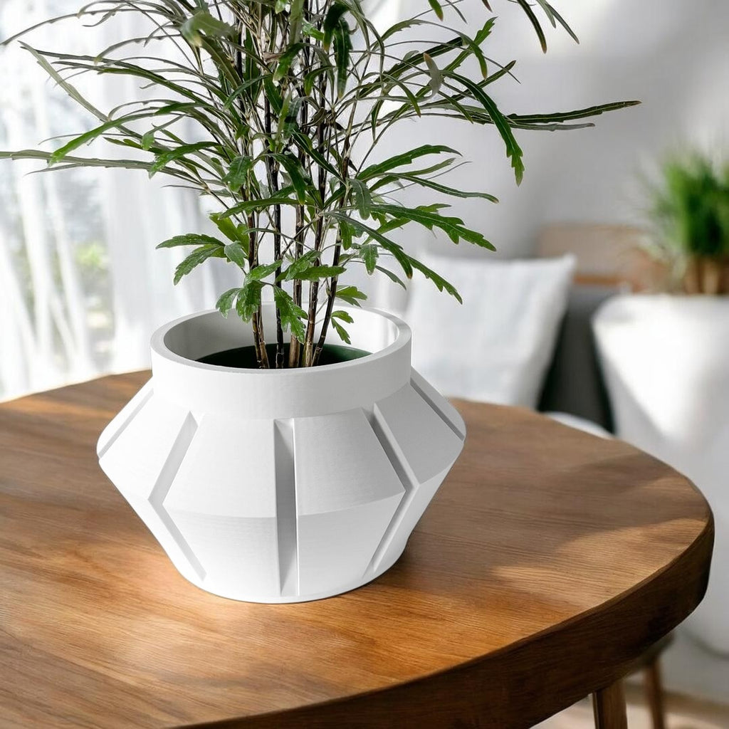 Erno Planter