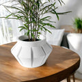 Erno Planter