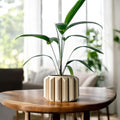 Ferix Planter