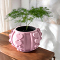 Frenor Planter