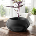 Frons Planter