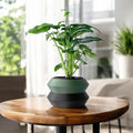 Grafel Planter