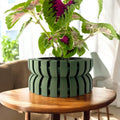 Griva Planter