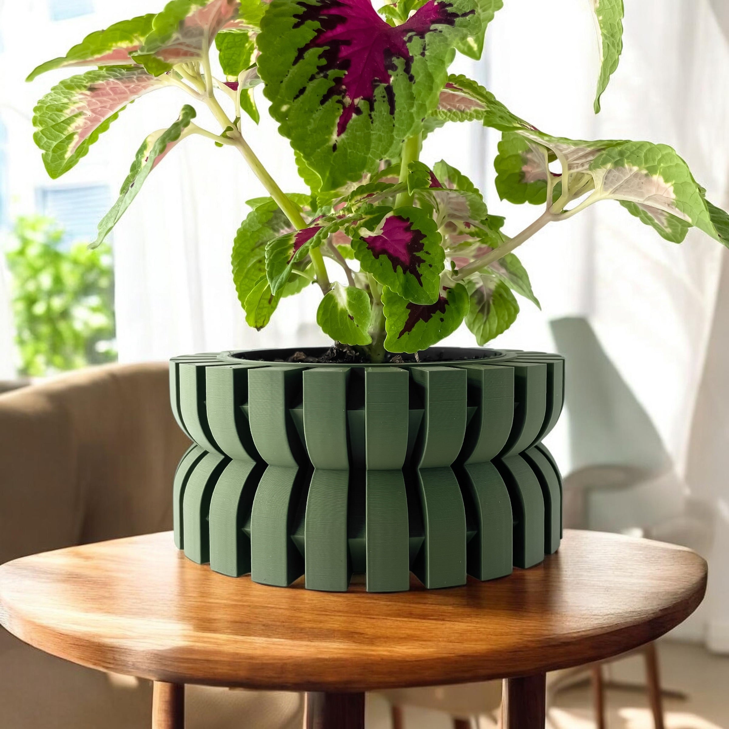 Griva Planter