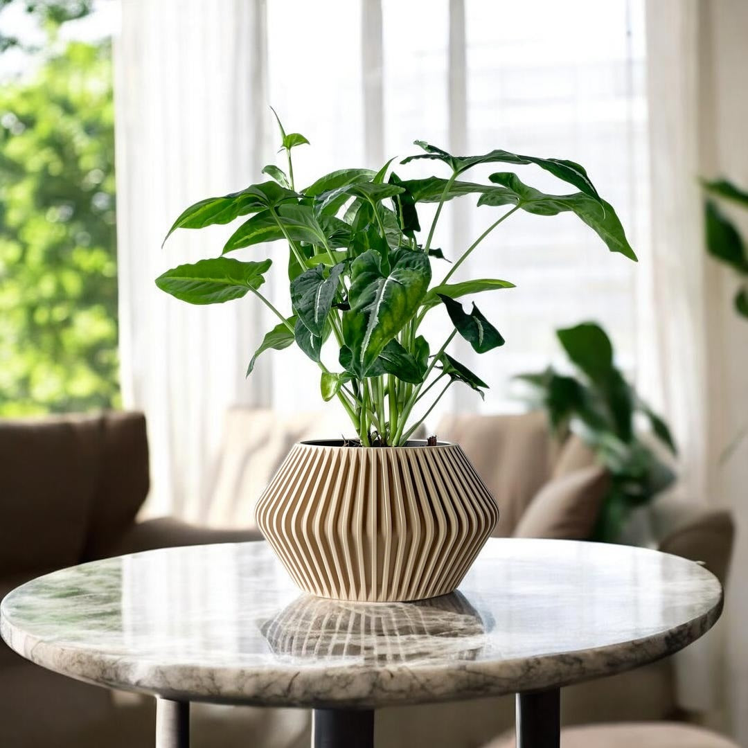 Hendro Planter