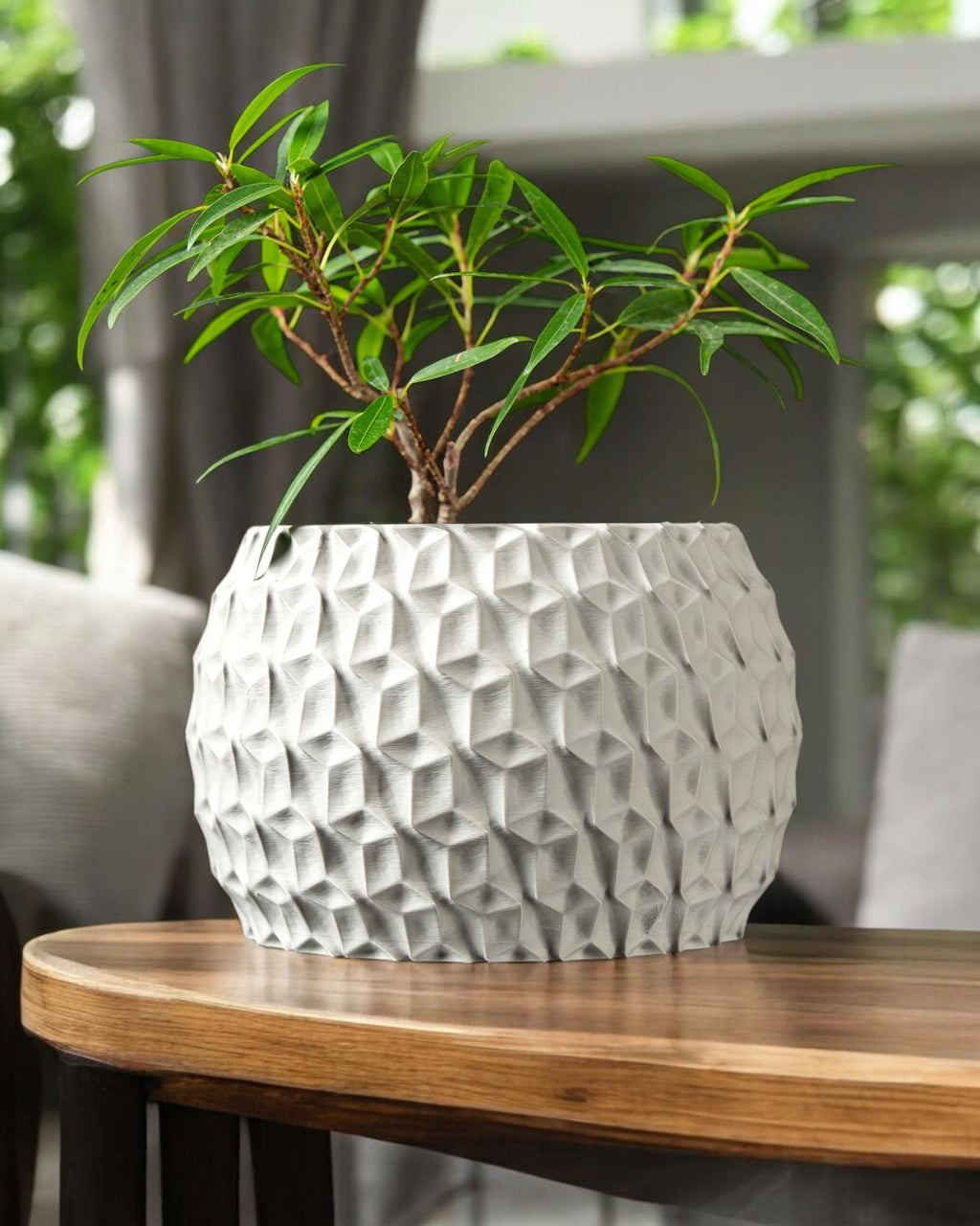 Hexa Planter Pot