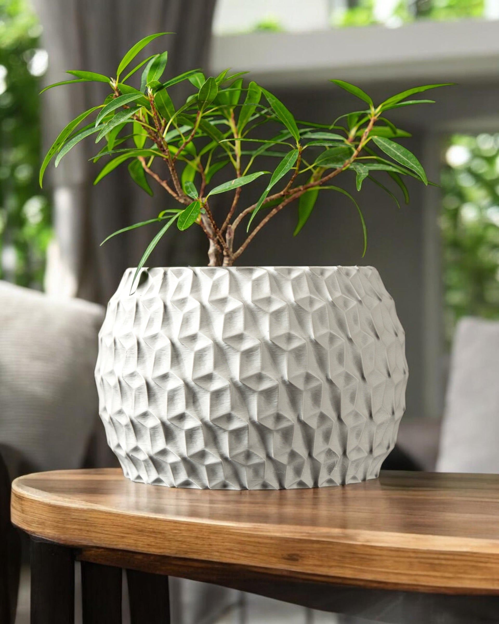 Hexa Planter Pot