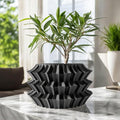 Jori Planter