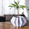 Jun Planter Pot