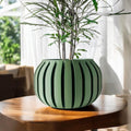 Juse Planter