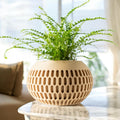 Mervis Planter