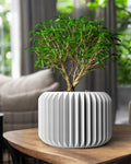 Nila Planter Pot