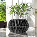 Oku Planter