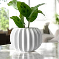 Olin Planter