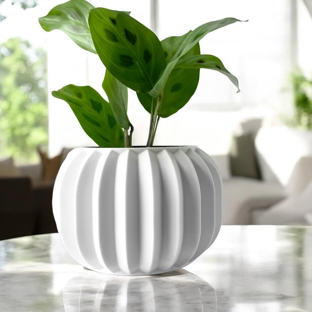 Olin Planter
