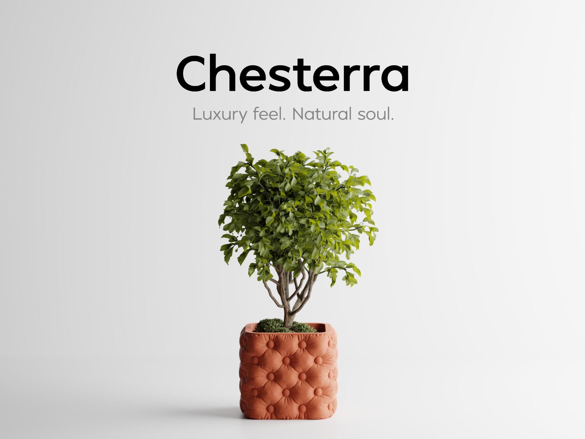 Chesterra – Luxury feel. Natural soul.