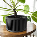 Paxon Planter