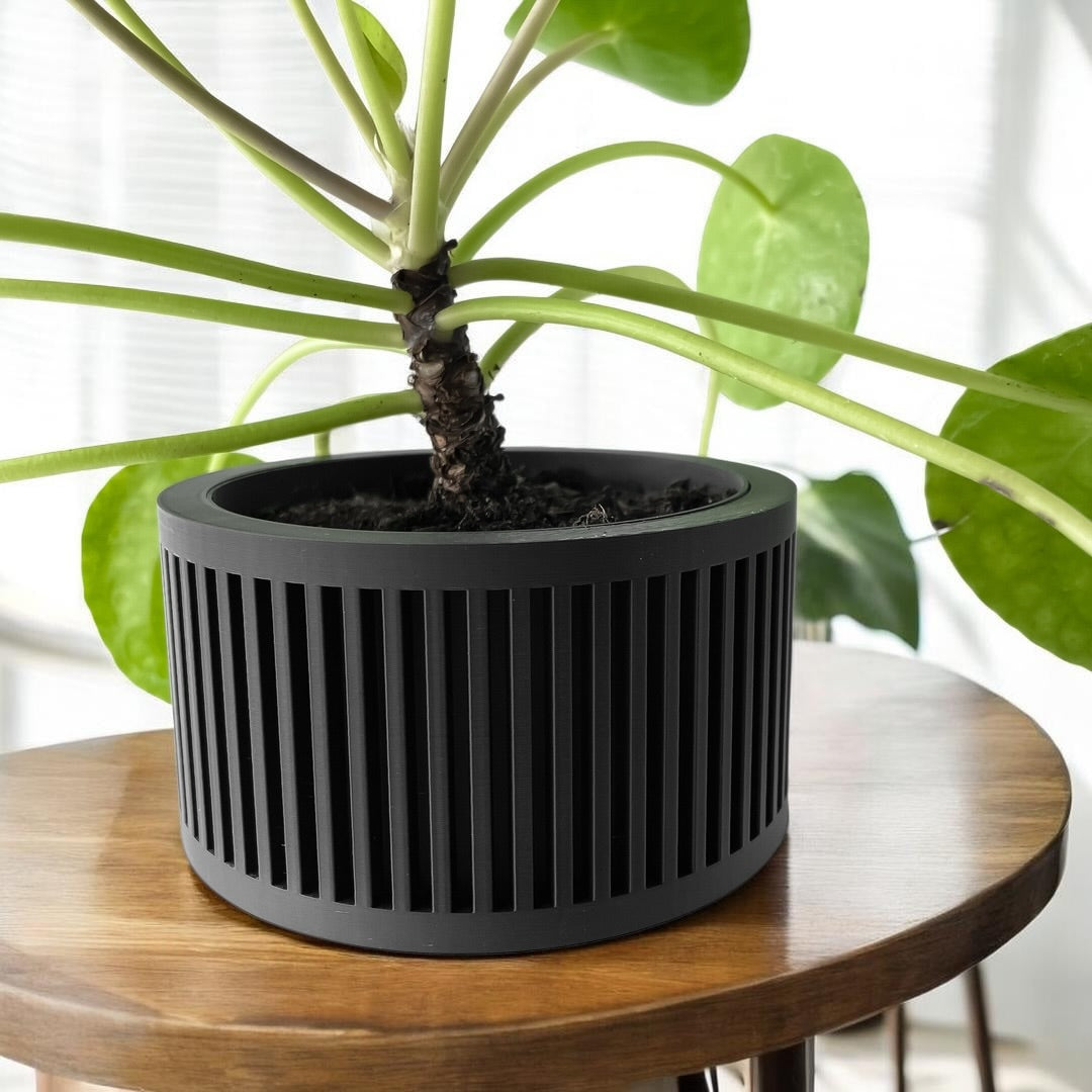 Paxon Planter