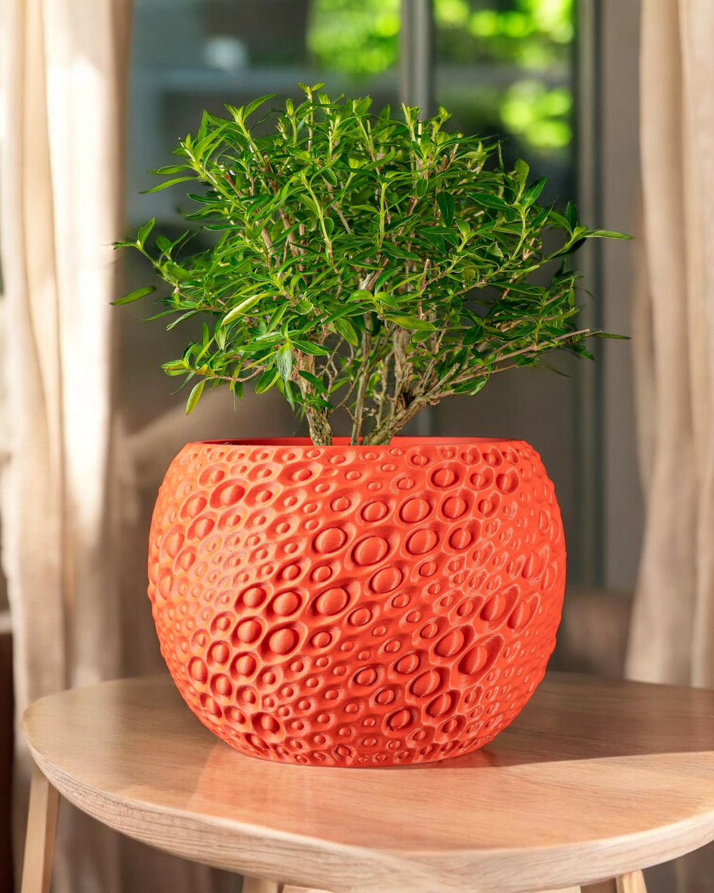 Pearl Planter Pot