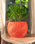 Pearl Planter Pot