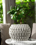 Petal Planter Pot