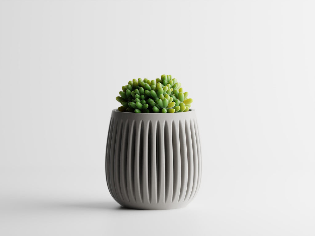 Columna – Structured lines. Organic soul.