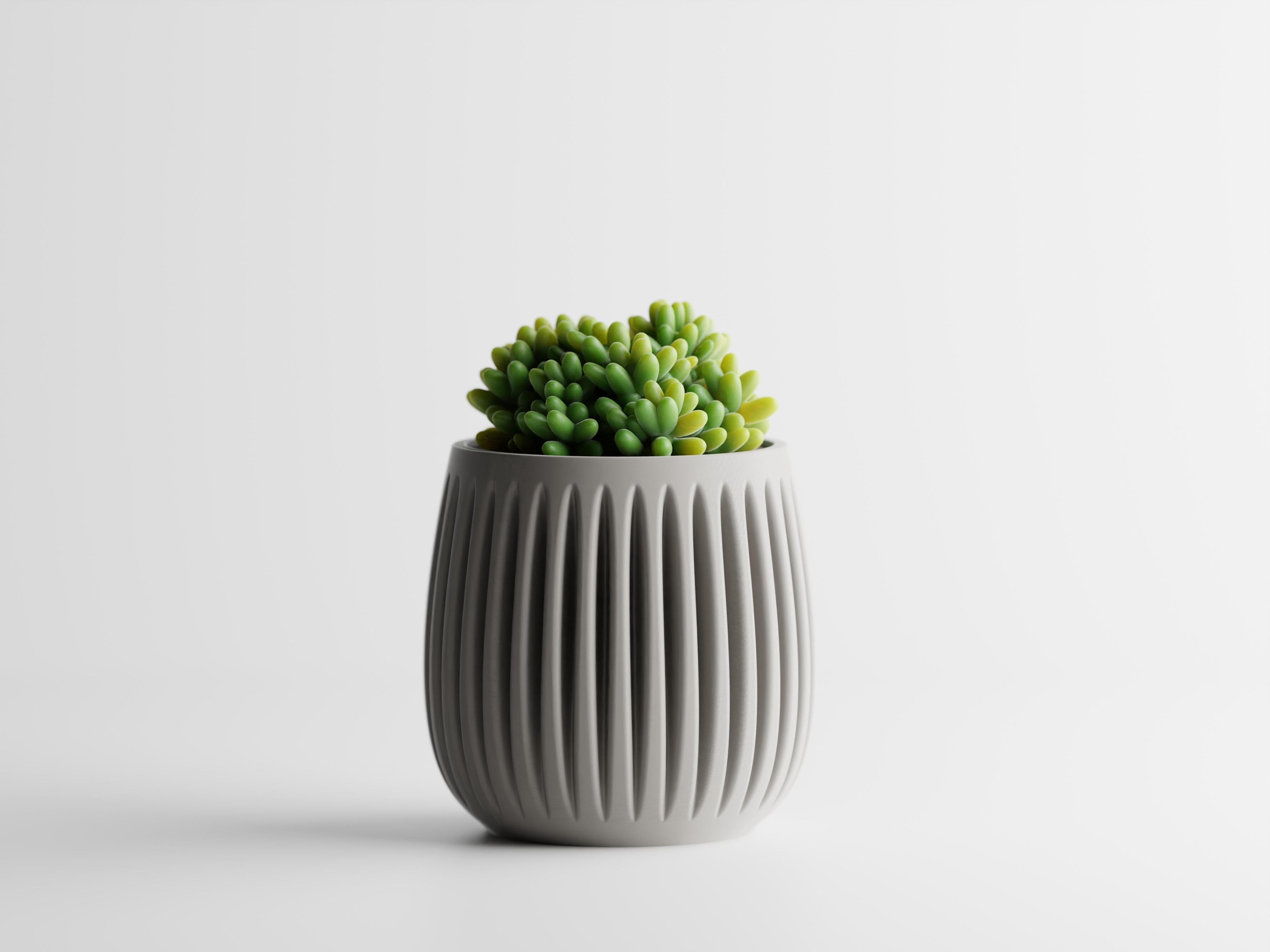 Columna – Structured lines. Organic soul.